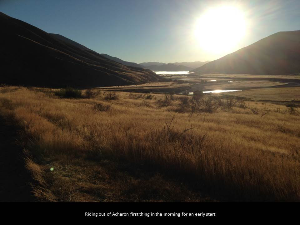 17.jpg (60965 bytes)